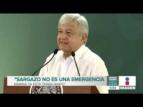 AMLO asegura que el sargazo no es una emergencia | Noticias con Francisco Zea