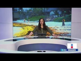 Noticias con Yuriria Sierra | Programa completo 24/junio/2019