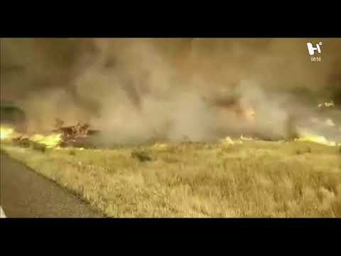 Noticias de la Mañana #noticias #deportes #política con Alejandro Cacho y Alma Saint Martín: