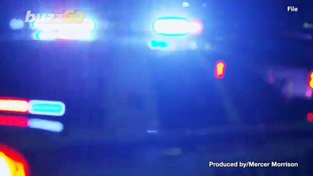 Bear-icade! Police Rescue Bear Trapped In Car!