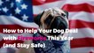How to Help Your Dog Deal with Fireworks This Year (and Stay Safe)