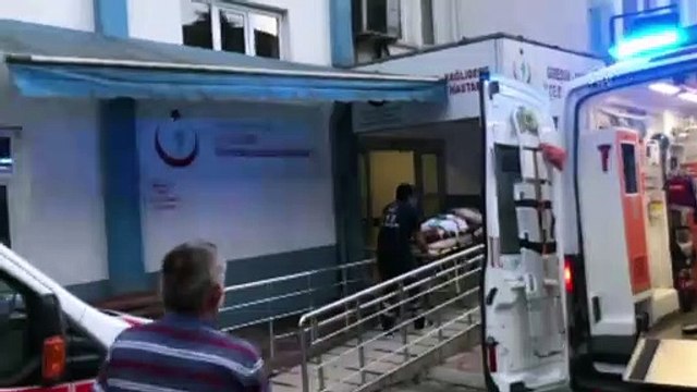 Ayının saldırısına uğrayan çiftçi yaralandı - GİRESUN