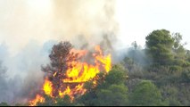 European heatwave: Wildfires burn across Spain
