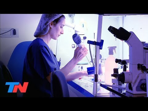 Reproducción asistida: los efectos del estrés | CON BIENESTAR