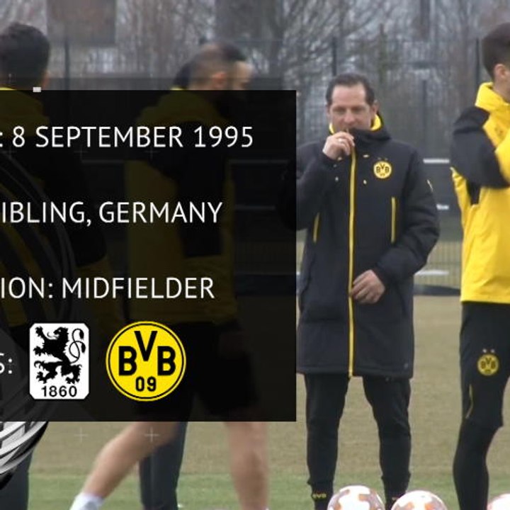 Julian Weigl - Player Profile