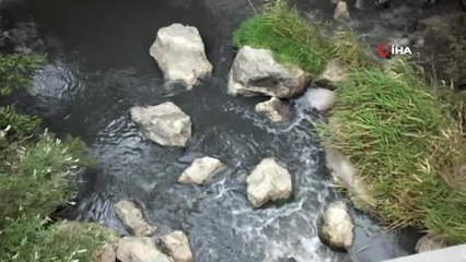 Burhaniye'de yazlıkçılar dere kirliliğine tepki için yol kapattı