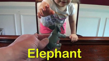 Genevieve Teaches Kids the Names of Animals!