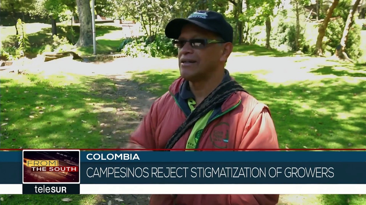 Colombia Cocaine Production Increases