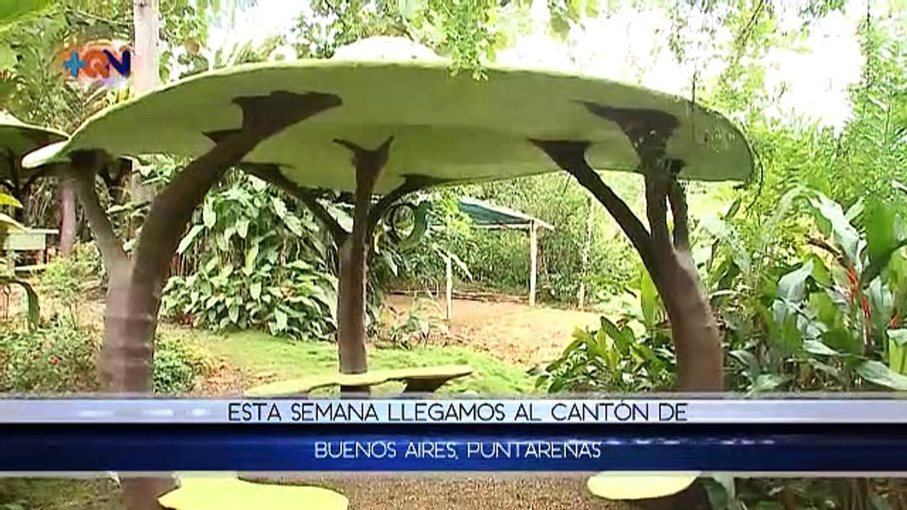 +QN 28 Junio 2019