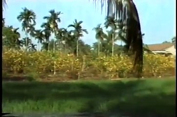 Qua Cơn Mê - Duy Khánh (Qua Con Me Duy Khanh)