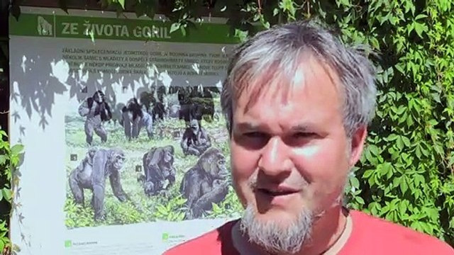 Criatividade nos zoológicos para fugir do calor