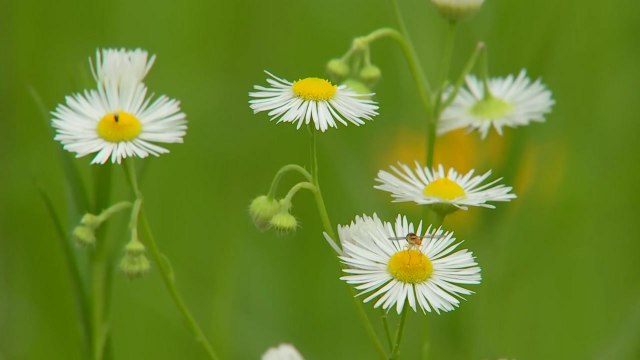 [날씨] 오늘 장마 소강, 무더위...주말 전국 장맛비 / YTN