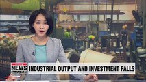 S. Korea's industrial output and investment falls in May