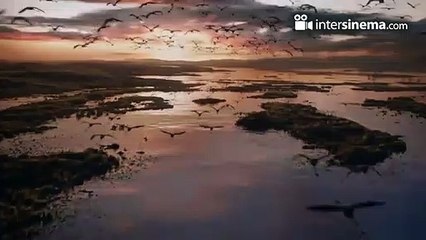 Aslan Kral - Fragman