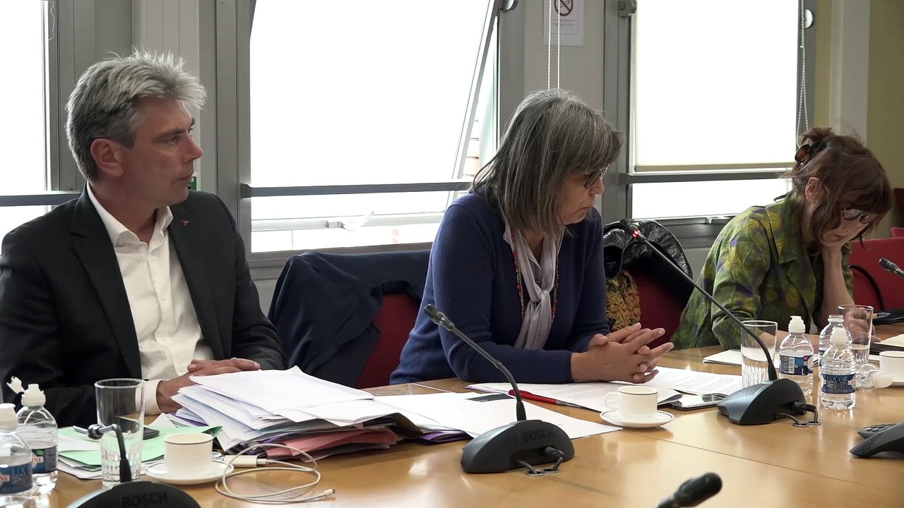Commission d'enquête sur l'inclusion des élèves handicapés dans l'école et l'université de la République, quatorze ans après la loi du 11 février 2005 - Dieppe - 8e_audition - Mercredi 26 juin 2019