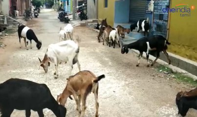 நியாய விலைக்கடைக்கு முன்பு கொட்டிக்கிடக்கும் அரிசி..பொதுமக்கள் குற்றச்சாட்டு- வீடியோ