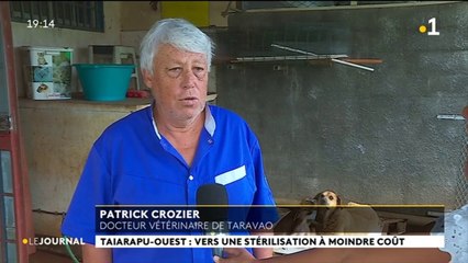 Recensement canin : Vairao aux abois