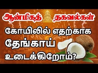 கோயிலில் தேங்காய் உடைப்பதன் தாத்பரியம் என்ன தெரியுமா? | reason behind coconut breaking ritual