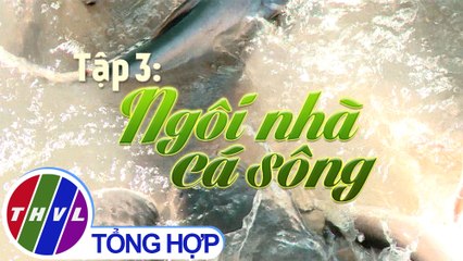 THVL | Ký sự truyền hình: Đi thăm bảo tàng tự nhiên Miền Tây - Tập 3: Ngôi nhà cá sông
