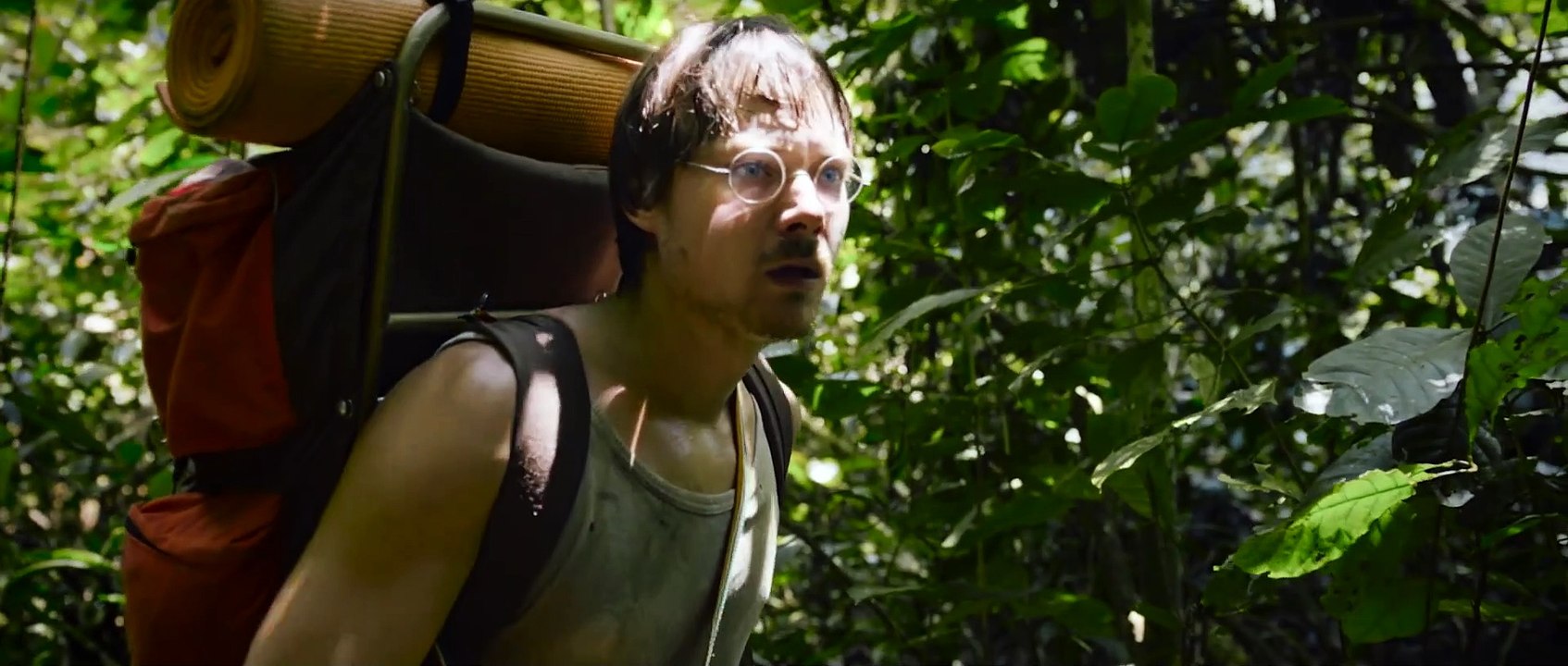 BRUNO MANSER DIE STIMME DES REGENWALDES Film