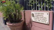 Roma - Le piante di marijuana sequestrate dai Carabinieri (28.06.19)