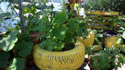 Arkadaşları alay etti ama herkes merak edip bu bahçeyi geziyor