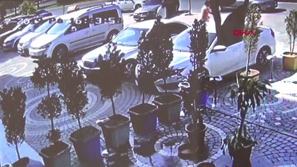 DHA DIŞ- Seyir halindeki otomobilin camındaki yılan korkuttu