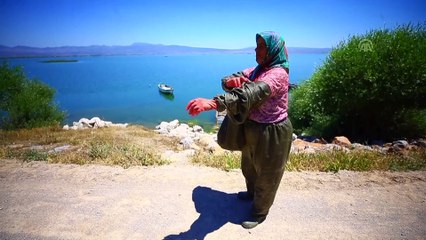 Suğla Gölü'nün balıkçı aileleri yeni sezondan umutlu - KONYA