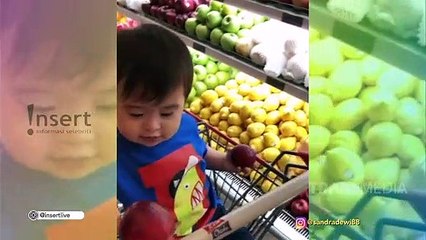 Insert - Sandra Dewi Tak Menguranngi Aktivitas Meski Hamil Besar