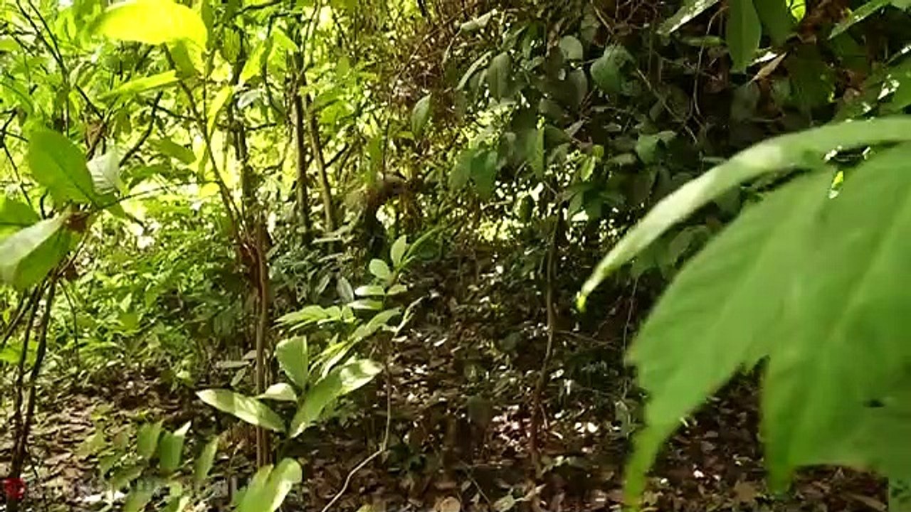 Build Truly Amazing Underground Great Wall & Secret Underground Swimming Pool