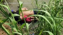 Foto de un migrante y su hija muertos desata críticas contra Trump