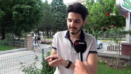 Evinin terasında Ebabil Kuşu buldu