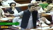 Hammad Azhar aggressive speech in National Assembly Today - 28th June 2019