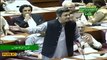 Hammad Azhar aggressive speech in National Assembly Today - 28th June 2019