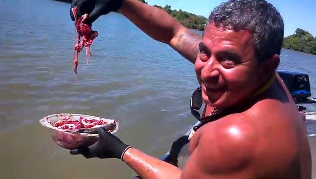 Nourrir des piranhas... Tellement drôle