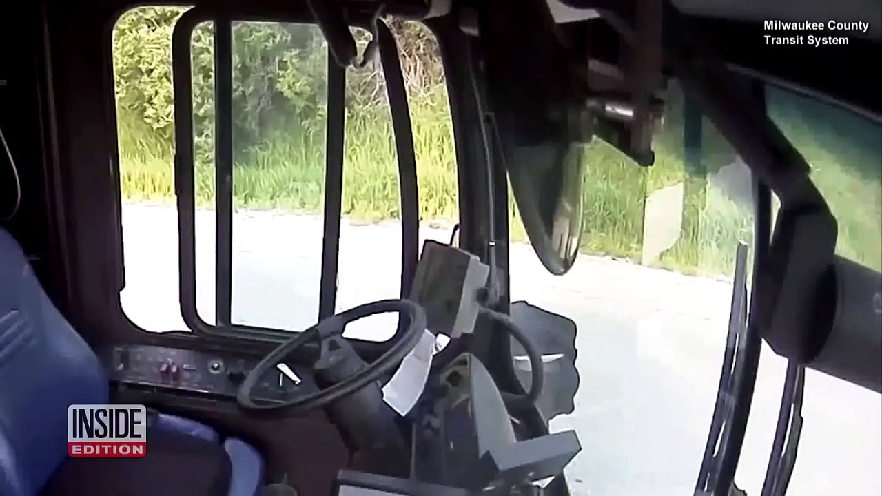 Un chauffeur de bus s'arrête pour aider une tortue à traverser la route... Beau geste