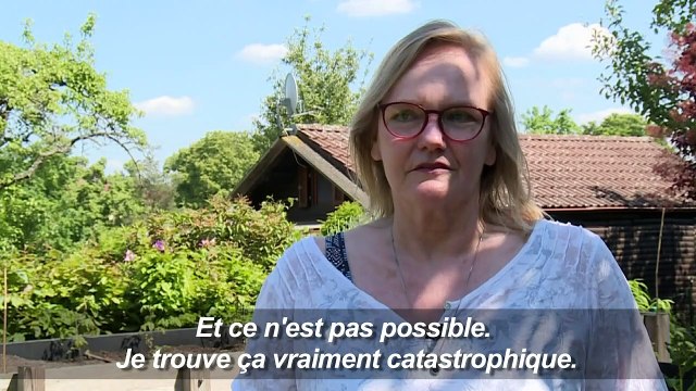 Les jardins ouvriers sous pression des promoteurs berlinois