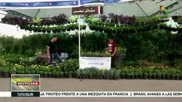 Resurge en Damasco el Festival Internacional de las Flores