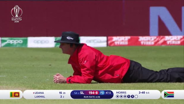 Swarm of insects stops play between South Africa and Sri Lanka