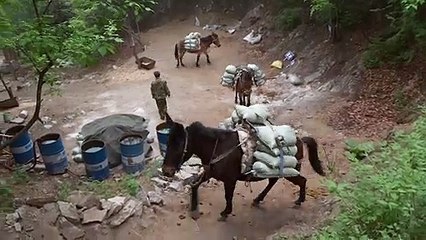 الصين ترمم سورها العظيم مستعينة بالطرق التقليدية القديمة