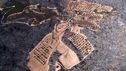 الحرائق تقضي على مساحات حرجية واسعة في إسبانيا