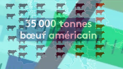Du bœuf américain aux hormones dans les assiettes européennes ?