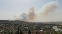 Declarado un incendio forestal en el entorno de 'La Bastida' de Toledo