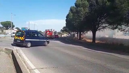 Sorgues : un feu se propage au bord de l'A7, circulation au ralenti