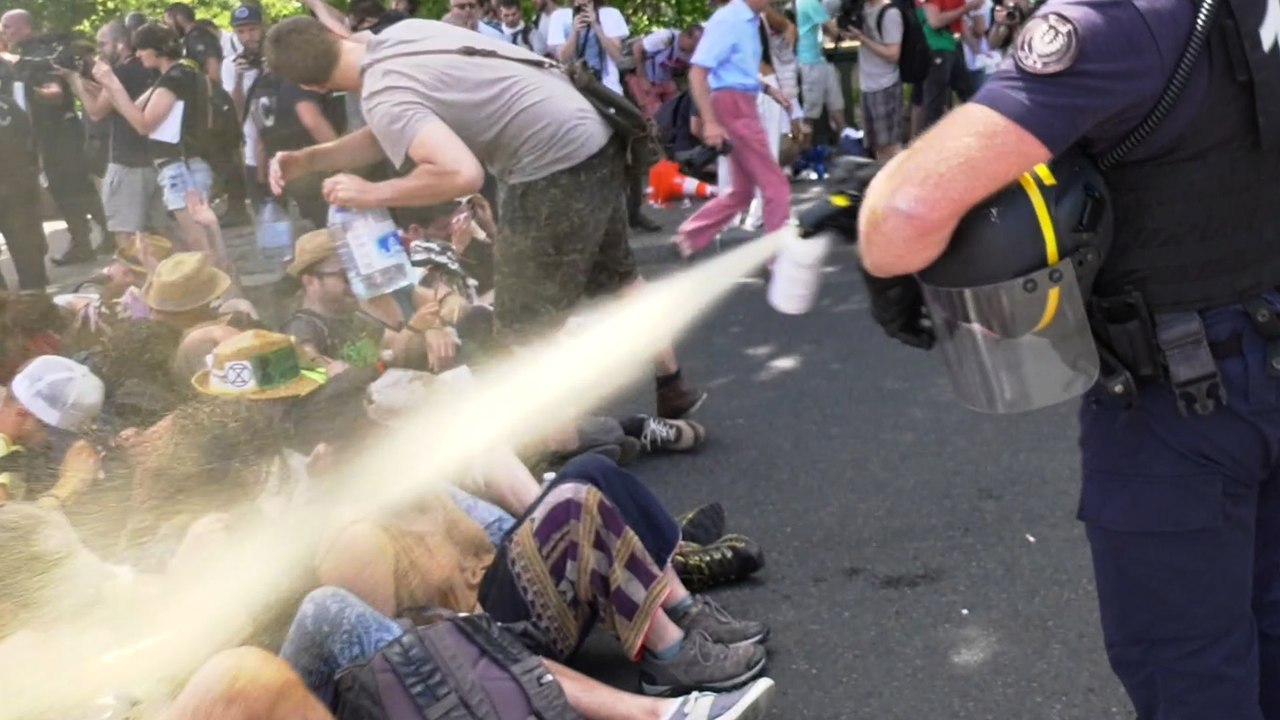 Des militants écologistes violemment délogés par les CRS