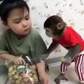 Cette petite fille n'aime pas partager avec son singe. Regardez ce qu'elle fait !