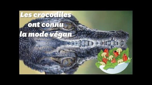 Les crocodiles ont aussi connu la mode vegan