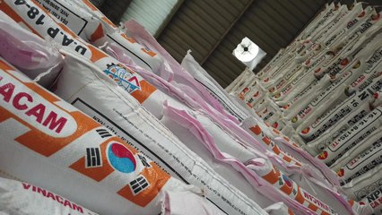 동남아시아 명품 '비료 한류' 열풍! / YTN