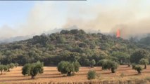 Declarado un incendio de pastos en Montesión (Toledo)