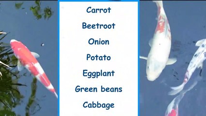 Vegetables Names With Pictures And Sounds By Coderays Technologies ...-38
